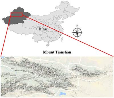 Foliar δ13C Showed No Altitudinal Trend in an Arid Region and Atmospheric Pressure Exerted a Negative Effect on Plant δ13C